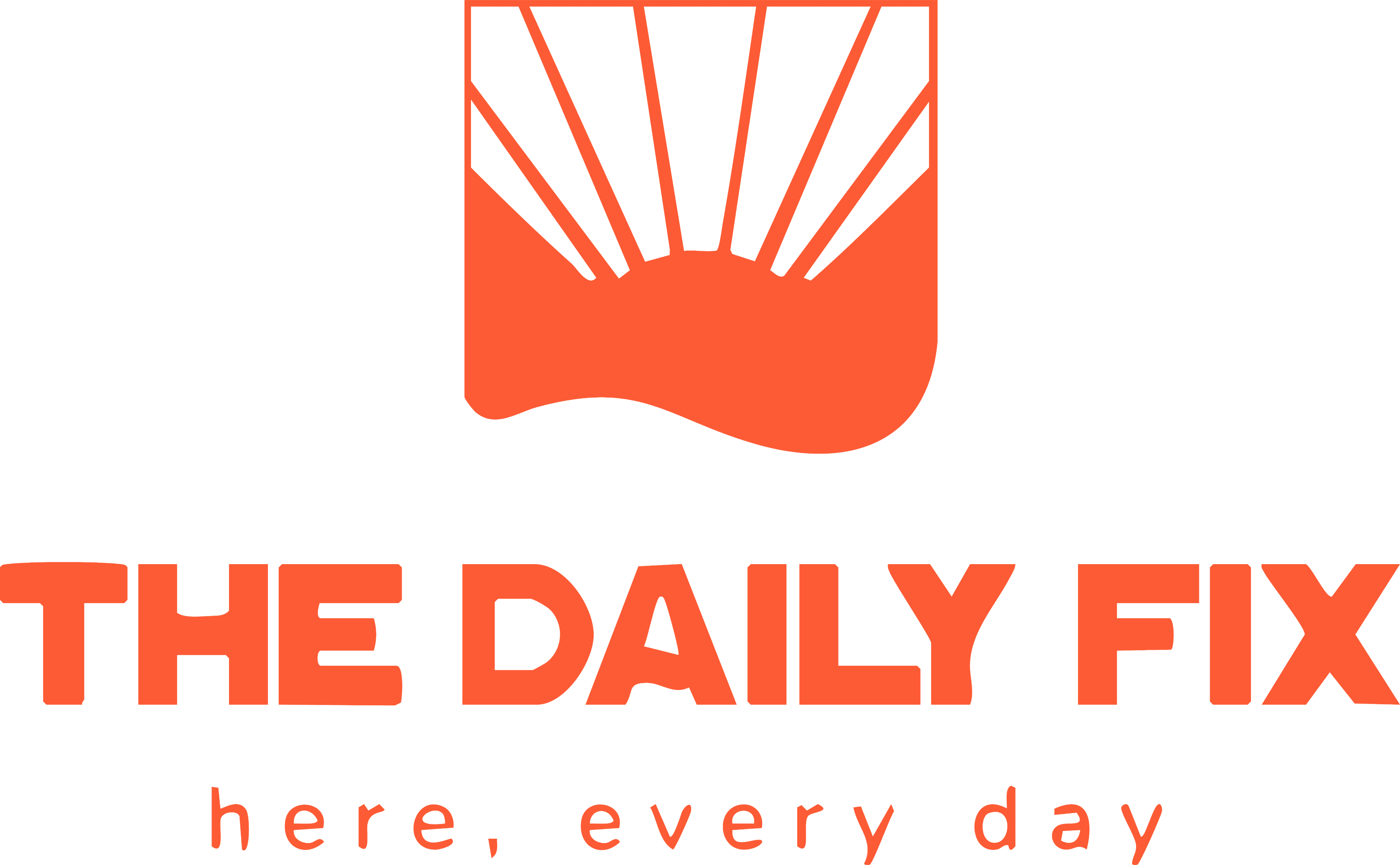 Daily Fix logo